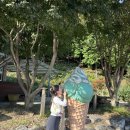 농부의 바다 이미지