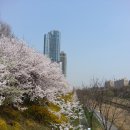 2014.3.30 자전거 번개 정산 및 후기 이미지