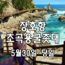코발트블루 동해바다, 삼척 장호항 + 초곡용굴촛대바위길 + 장미공원 이미지