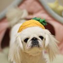 Re플레이 이미지