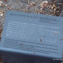 휴천리지석및입석 | 1128. 2015.10.23. 대한민국 경상북도 영주시 - 휴천리 지석 및 입석