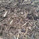 박종관농장 이미지