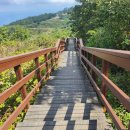 팔공산 하늘정원 이미지