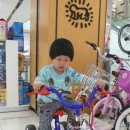 그리올라 이미지