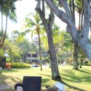 마젤란세탁 이미지