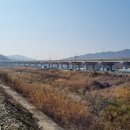 원주굽이길 2코스 700년노송길 이미지