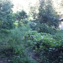 무주읍167 이미지