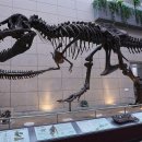 지질자원연구원 지질박물관 이미지