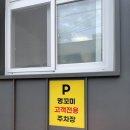 멍꼬미