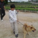 양남지역아동센터 이미지