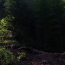 고성박물관 화장실 이미지