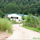 향기나라사랑이 이미지