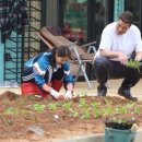 보아농장 이미지