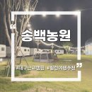 송백농원캠핑장 | 구미 송백농원 카라반 시설 및 숙소 상세 리뷰 이것만 보고 가세요