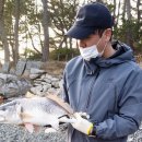 부래여행주 | 손맛은 코로나19 청정지역 꼭 가보고싶은 여행지 남해안 한려해상국립공원 중심지 한산섬 언택트여행