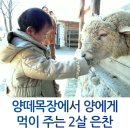 은찬목장 네이버블로그