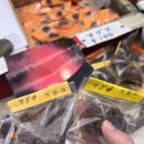 아소산 | 일본 구마모토 아소산 분화구 후기｜100엔에 마그마를 살 수 있다?!｜입장료, 구입방법