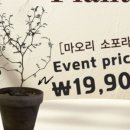 그린꽃집 이미지