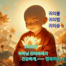 25년 새해인사 이미지