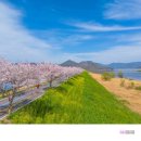 강변공원 이미지