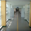 서울대치초등학교 이미지