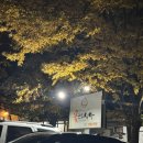 꽃잔디식당 | [대구 달성군] 다사 아구찜 맛집 “꽃잔디식당”