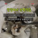 만복 | 랑랑이네 만복떡집 송편 후기 국산 서리태 콩송편 설 명절 간식 추천