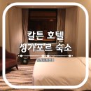 칼튼 | 싱가포르 숙소 칼튼 호텔 디럭스 트윈룸 후기