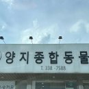 용인동물병원 이미지