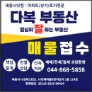 다복푸르지오공인중개사사무소 | 다복공인중개사 대표와 함께 세종시 아파트 실거래 최근 거래 흐름 정리