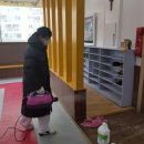 용인대 명문 태권도장 이미지