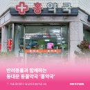 서울홍약국 이미지