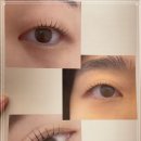 아끌린