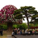 함평 엑스포공원 나비축제 이미지