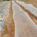 호성농장 이미지