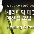 세라테라피 이미지