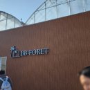 행복농장 봉화지점 | 정읍 동물농장부터 실내 놀이터, 정글까지 [ 비비포레 ] 내돈내산 후기