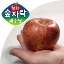 산지직송농산물