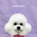MUNG MOO 이미지