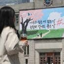미스터컵 네이버블로그