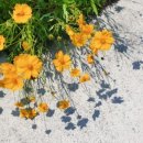 만경1경 이미지