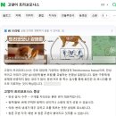 영통동물병원 | 영통동물병원 일리에서 고양이 만성설사 원인 찾고 치료받은 후기