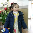 지니메드 이미지