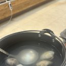 회뜨는돼지
