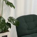 원미스파랜드 | 부천 스파바움 치유밸런스 맞춤 수기 통증관리 유목민의 정착지!