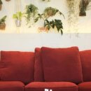 에스엠비 이미지