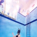 (주)부지런 이미지