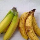 미래당구장 이미지