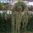 태안농장 이미지