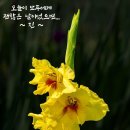 소중한 너라서 이미지